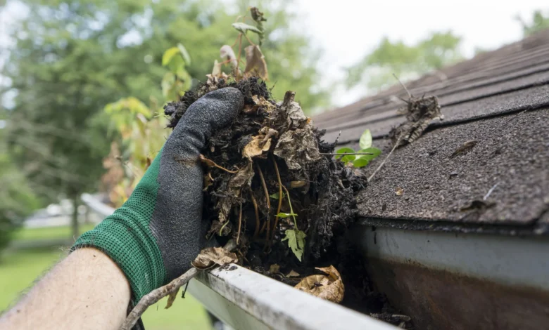 gutter cleaning bexhill
