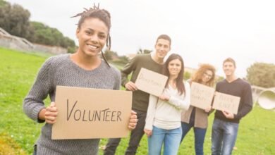 volunteer dbs check cost