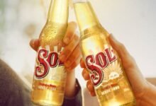 sol beer percentage