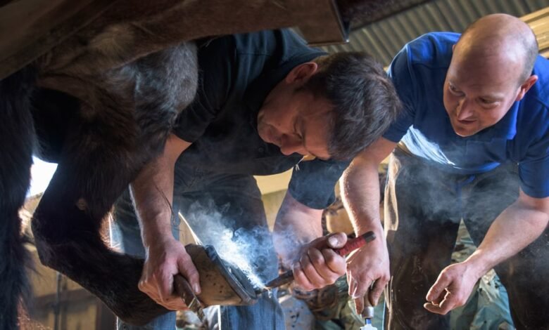 how to become a farrier uk