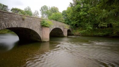 things to do in ulverston