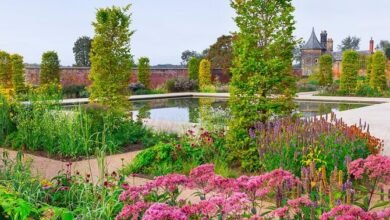 rhs garden bridgewater reviews