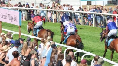 cartmel races today